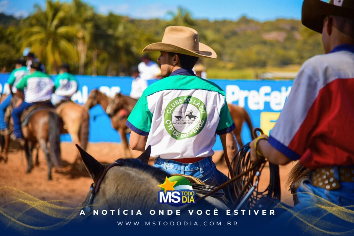 Imagem da Galeria